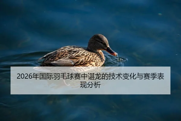 2026年国际羽毛球赛中谌龙的技术变化与赛季表现分析