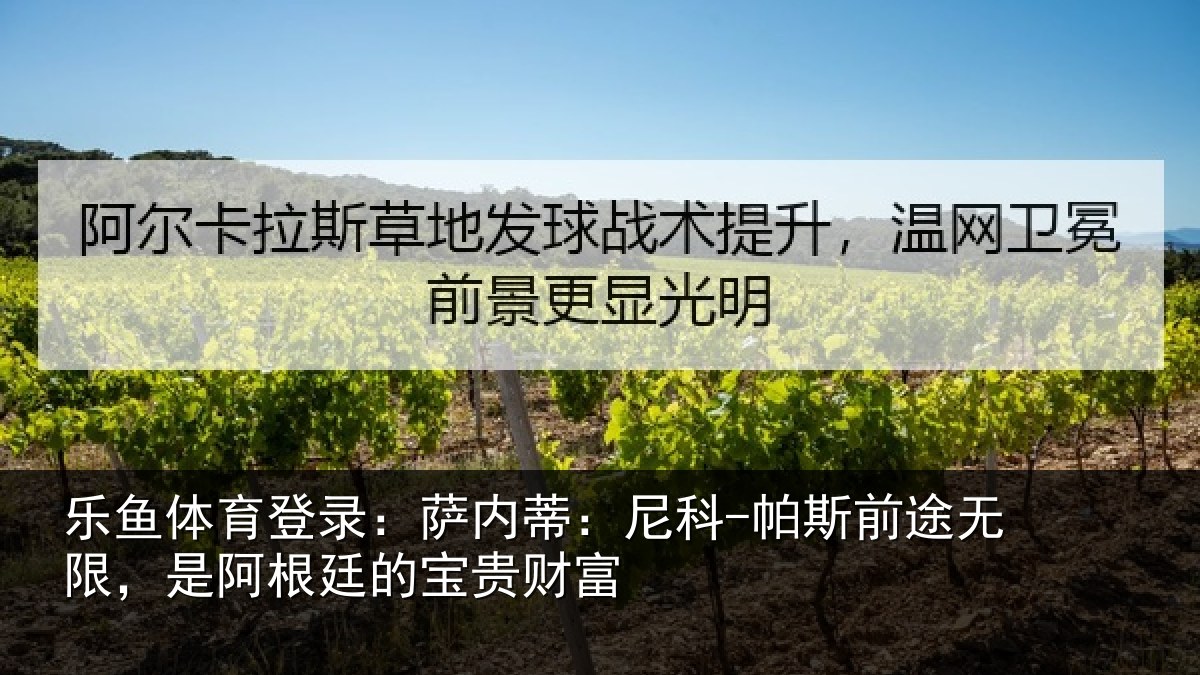 乐鱼体育登录：萨内蒂：尼科相关情况贵财富