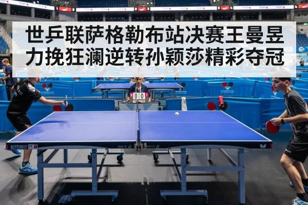 table tennis final match